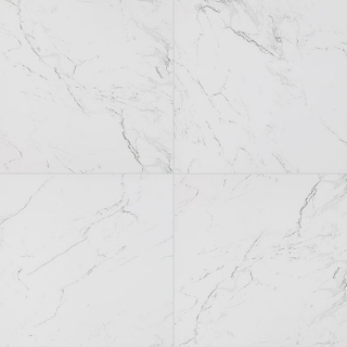 Picture of MS International - Pietra 24 x 24 Polished Carrara Polished