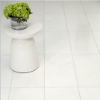 Picture of Daltile - Marble 12 x 24 Honed Thassos White