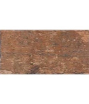 Picture of C.I.R. - New York Central Park