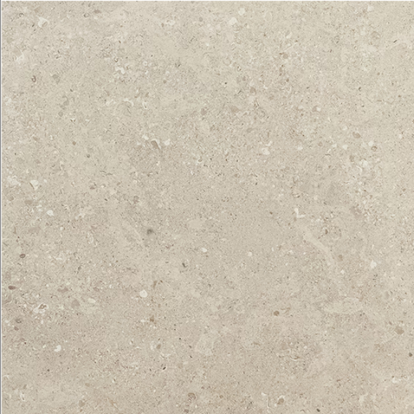 Picture of Daltile - Dignitary 12 x 24 Light Polished Notable Beige