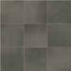 Picture of Daltile - Volume 1.0 12 x 12 Intensity Pebble