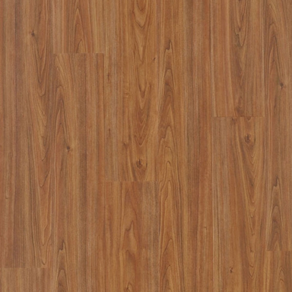 Picture of Traverse - Boardwalk 6 x 36 Canopy