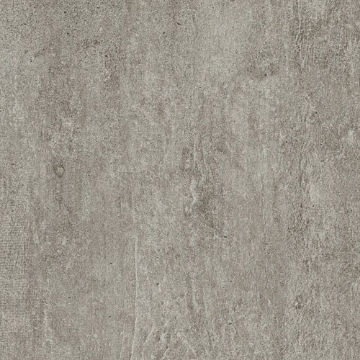 Picture of Armstrong - Alterna 12 x 24 Enchanted Forest Forest Fog