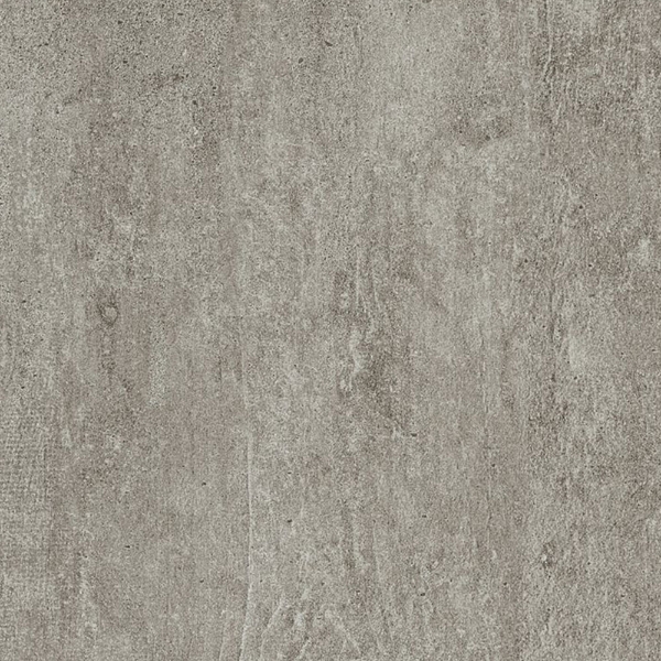 Picture of Armstrong - Alterna 12 x 24 Enchanted Forest Forest Fog