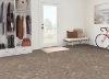 Picture of Armstrong - Alterna 12 x 24 Mesa Stone Beige