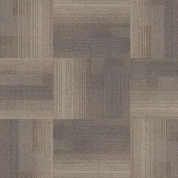 Picture of Next Floor - Development Camel Hair