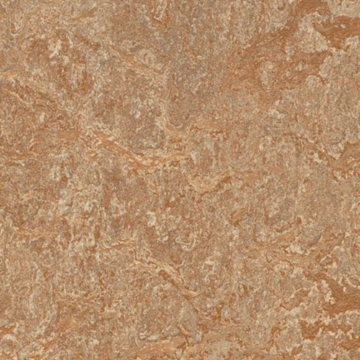 Picture of Forbo - Marmoleum Modular Marble 10 x 20 Shitake
