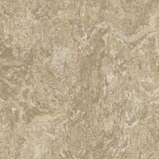 Picture of Forbo - Marmoleum Modular Marble 20 x 20 Forest Ground