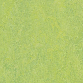 Picture of Forbo - Marmoleum Modular Color 10 x 10 Refreshing Green