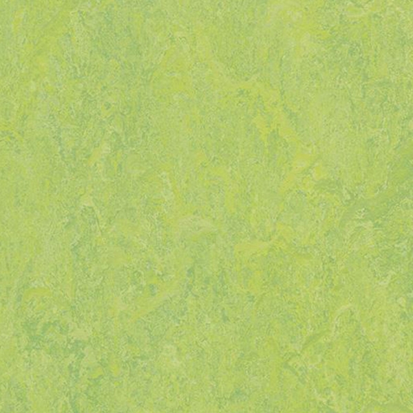 Picture of Forbo - Marmoleum Modular Color 20 x 20 Refreshing Green