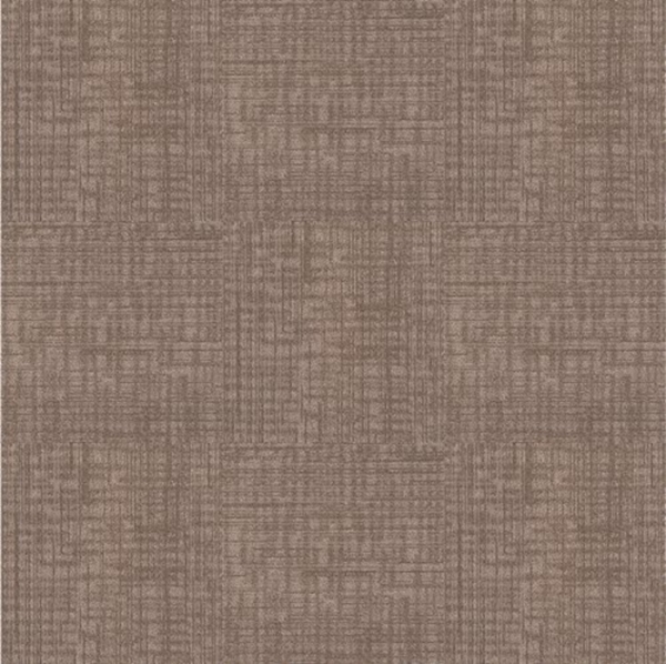 Picture of Next Floor - Invincible Tortoise