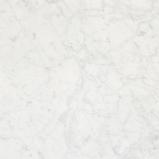 Picture of Stone Collection - Bianco Carrara 12 x 12 Bianco Carrara Honed