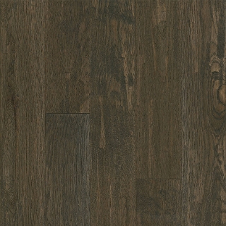 Picture of Bruce - Signature Scrape 5 Coastal Plain