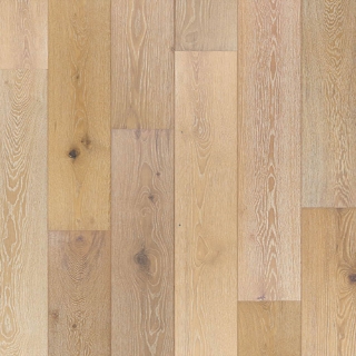 Picture of Johnson - British Isles Swansea