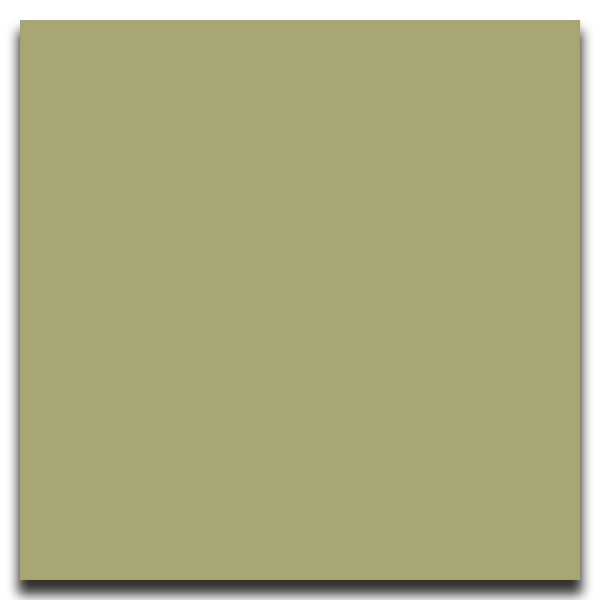 Picture of Johnsonite - Solid Colors Smooth 24 x 24 Iguana