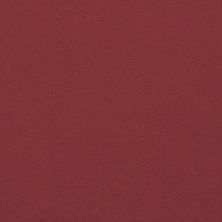 Picture of Johnsonite - Solid Colors Leather Salsa