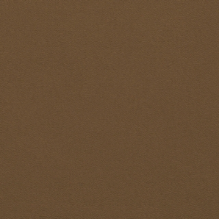 Picture of Johnsonite - Solid Colors Leather Seaweed