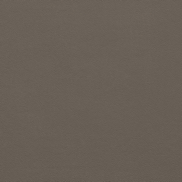 Picture of Johnsonite - Solid Colors Leather Toast