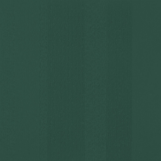 Picture of Johnsonite - Circulinity Fast Lane Hunter Green