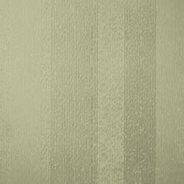 Picture of Johnsonite - Circulinity Fast Lane Iguana