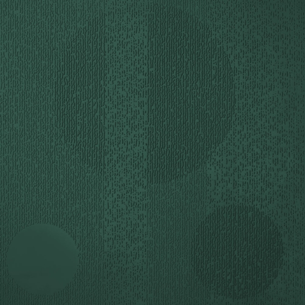 Picture of Johnsonite - Circulinity Tricycle Hunter Green