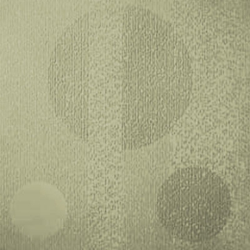 Picture of Johnsonite - Circulinity Tricycle Iguana