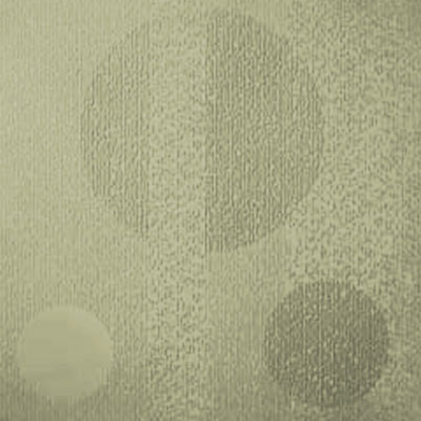 Picture of Johnsonite - Circulinity Tricycle Iguana