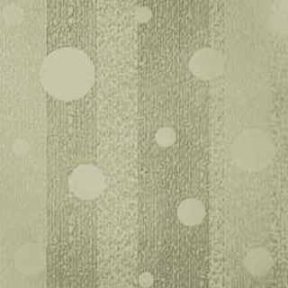 Picture of Johnsonite - Circulinity Effervescent Iguana