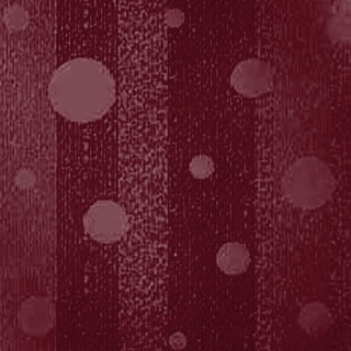 Picture of Johnsonite - Circulinity Effervescent Salsa