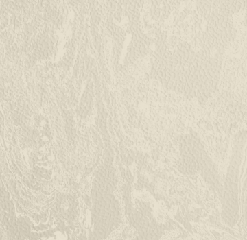 Picture of Johnsonite - Mesto Configurations 12 x 24 Story Book Dark