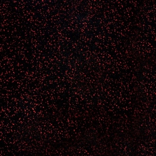 Picture of Johnsonite - Replay Square Edge Tile Infrared Speckled