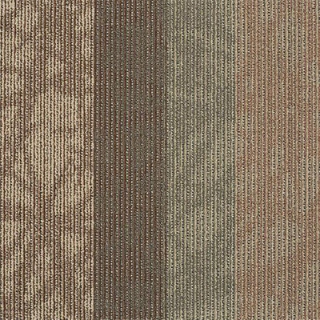 Picture of Philadelphia Commercial by Shaw - Static - Interference Frequency