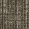 Picture of Philadelphia Commercial by Shaw - Mesh Weave Barley