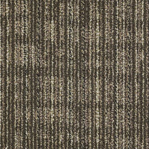 Picture of Philadelphia Commercial by Shaw - Mesh Weave Barley