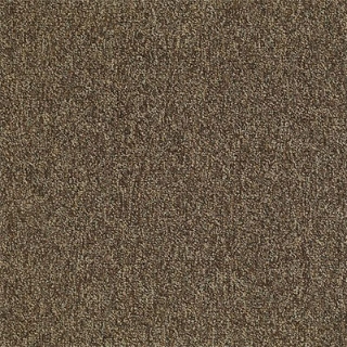 Picture of Philadelphia Commercial by Shaw - Multiplicity 24 x 24 Exuberance