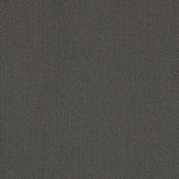 Picture of Philadelphia Commercial by Shaw - Color Accents 18 x 36 Ash