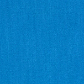 Picture of Philadelphia Commercial by Shaw - Color Accents 18 x 36 Blue