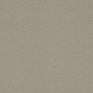 Picture of Philadelphia Commercial by Shaw - Color Accents 18 x 36 Mineralite