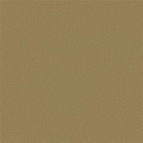 Picture of Philadelphia Commercial by Shaw - Color Accents 24 x 24 Aloe