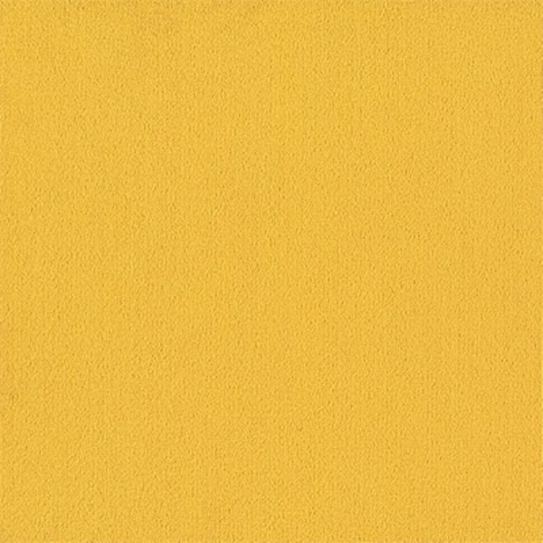 Picture of Philadelphia Commercial by Shaw - Color Accents 24 x 24 Citrus