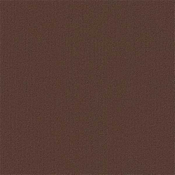 Picture of Philadelphia Commercial by Shaw - Color Accents 24 x 24 Coffee