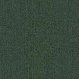 Picture of Philadelphia Commercial by Shaw - Color Accents 24 x 24 Cyprus