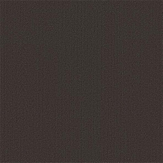 Picture of Philadelphia Commercial by Shaw - Color Accents 24 x 24 Ebony