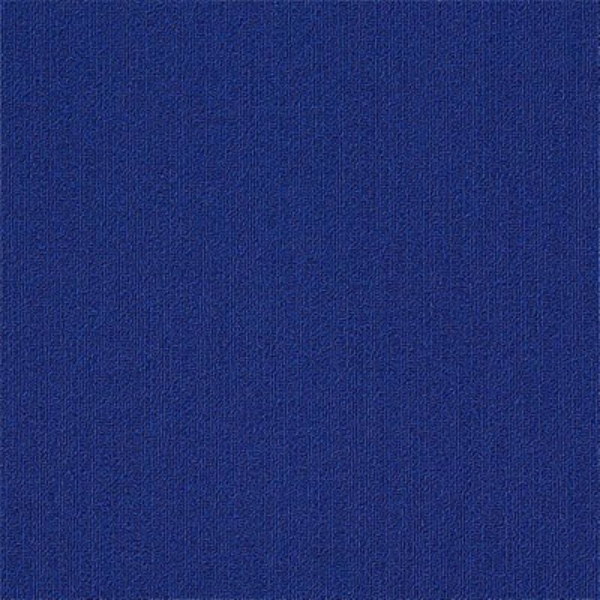 Picture of Philadelphia Commercial by Shaw - Color Accents 24 x 24 Electric