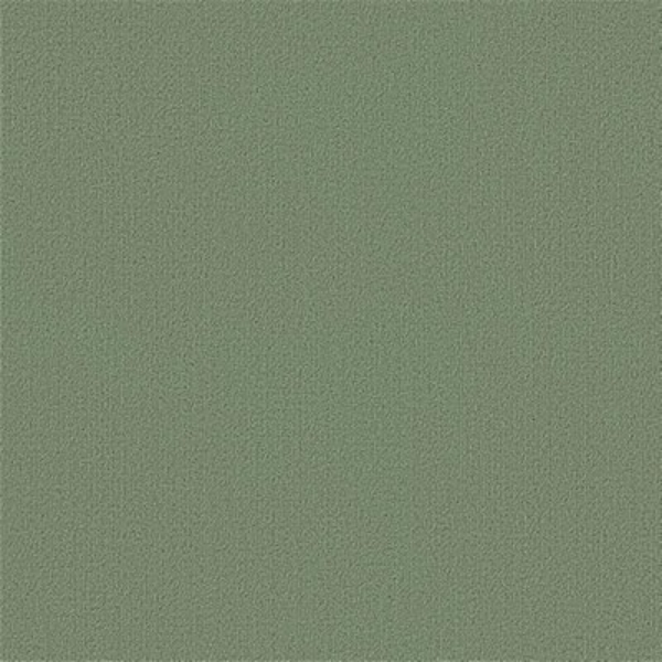 Picture of Philadelphia Commercial by Shaw - Color Accents 24 x 24 Foliage