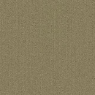 Picture of Philadelphia Commercial by Shaw - Color Accents 24 x 24 Glass