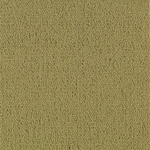 Picture of Philadelphia Commercial by Shaw - Color Accents 24 x 24 Herbal