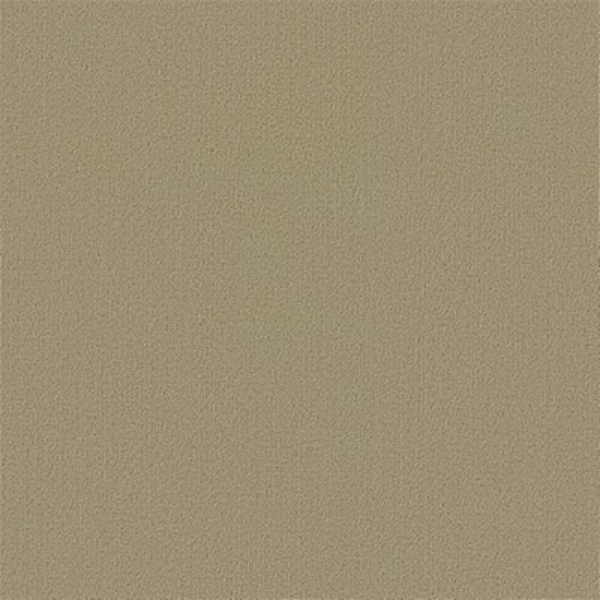 Picture of Philadelphia Commercial by Shaw - Color Accents 24 x 24 Lichen