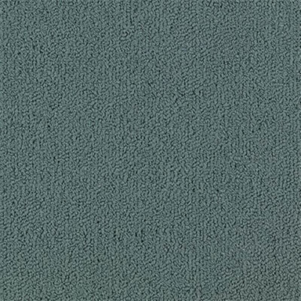 Picture of Philadelphia Commercial by Shaw - Color Accents 24 x 24 Nordic