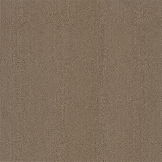 Picture of Philadelphia Commercial by Shaw - Color Accents 24 x 24 Portabella